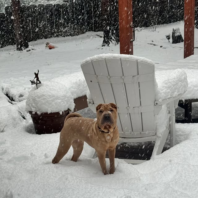  ......i.world   'recent posts' 