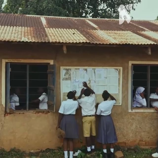  .....djazba   'recent posts' 