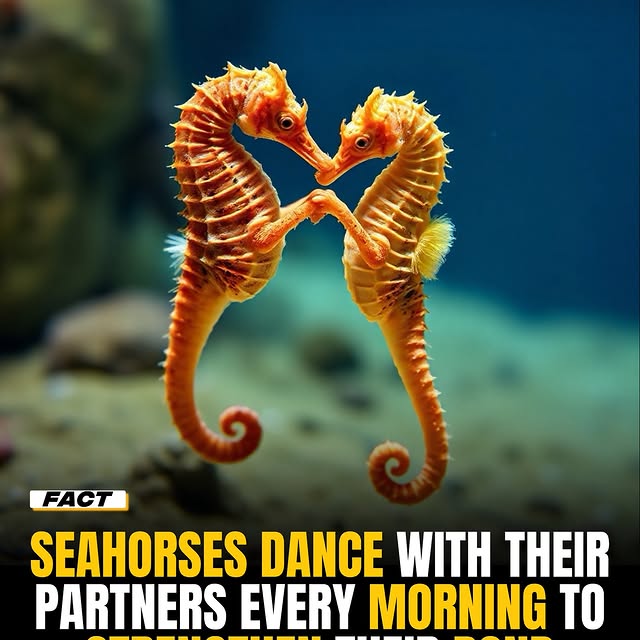  .......onfacts   'recent posts' 