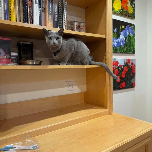  ......n_boris   'recent posts' 