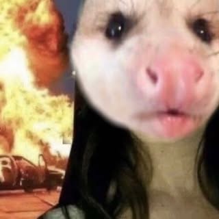 Hire ......mthings influencer with 16.6k