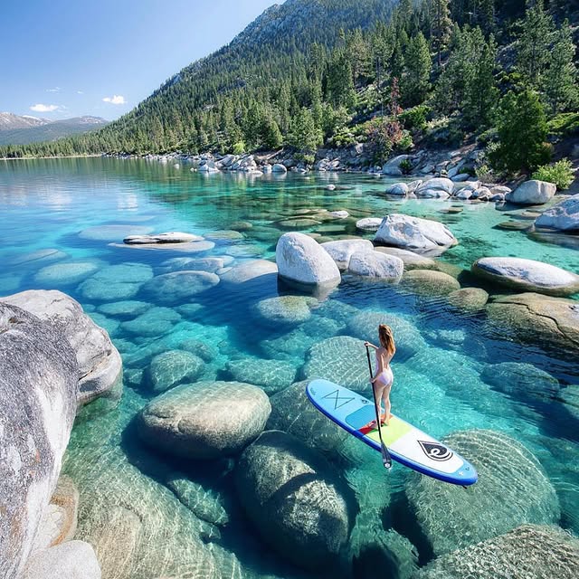  ........aveldaily   'recent posts' 