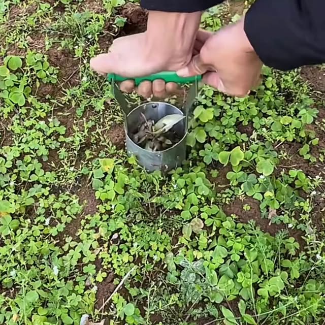  .......ataacha   'recent posts' 