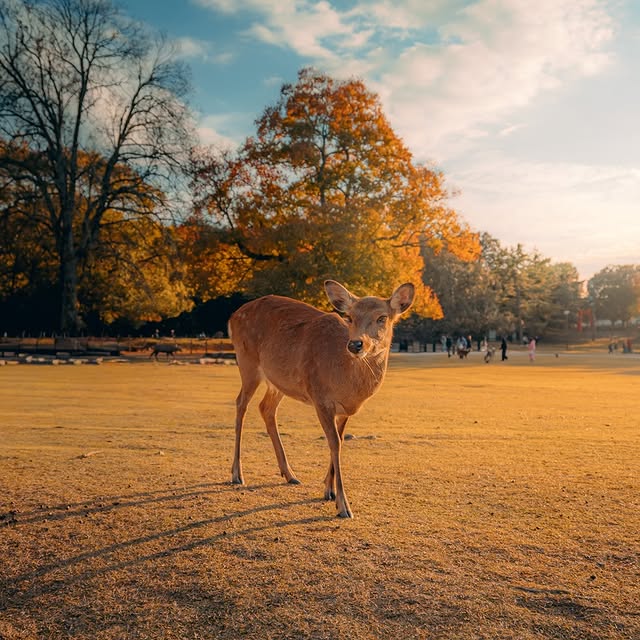  .....horpe   'recent posts' 