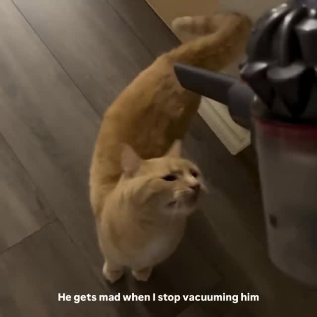  ...........irtonguesout   'recent posts' 