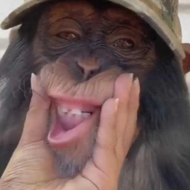  ........of_world   'recent posts' 