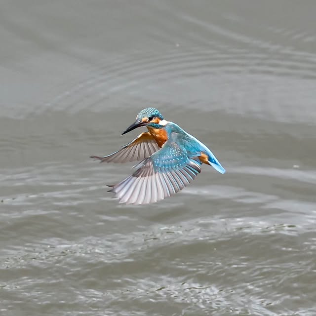  .....yland   'recent posts' 