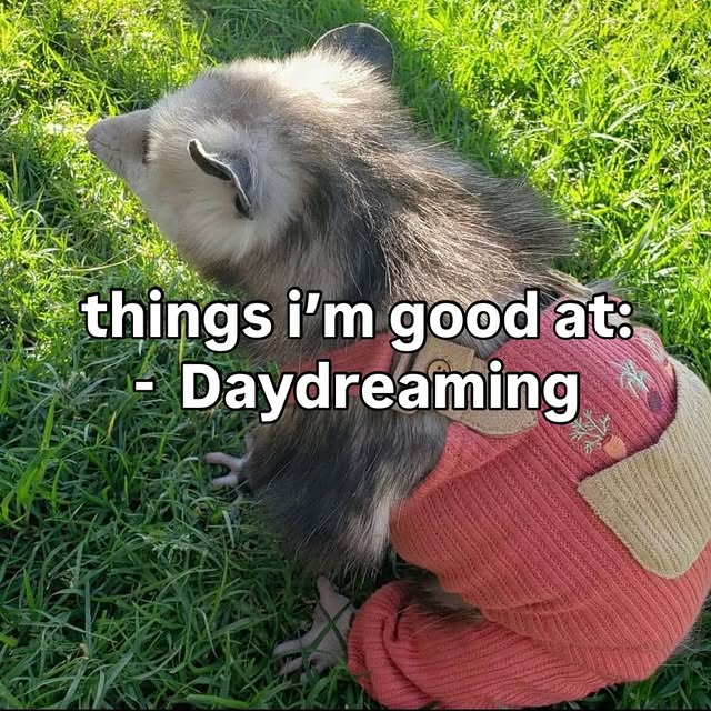  ......mthings   'recent posts' 