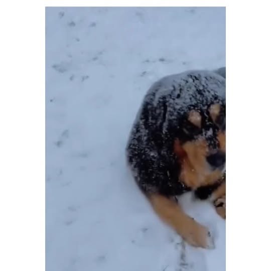  .....ibess   'recent posts' 