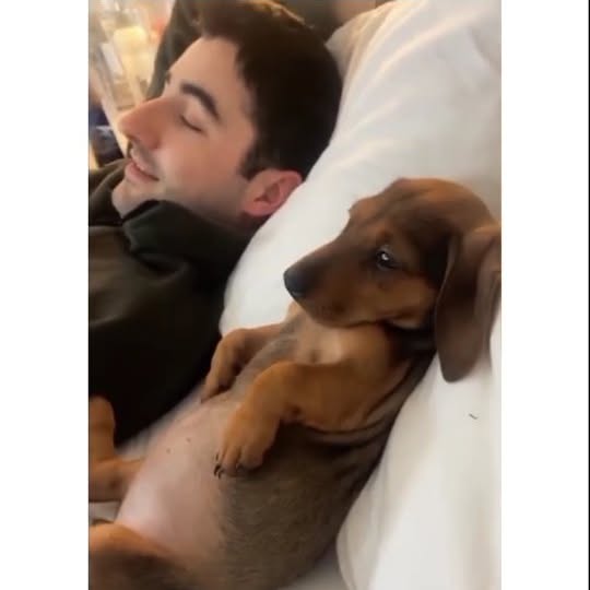  .....ibess   'recent posts' 