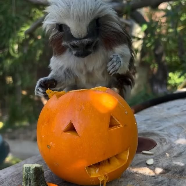  ......sonland   'recent posts' 