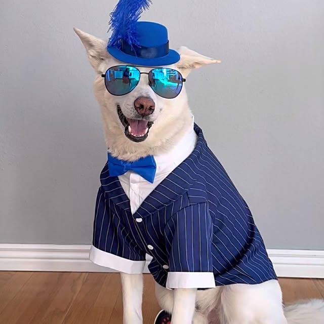  .....eteers   'recent posts' 