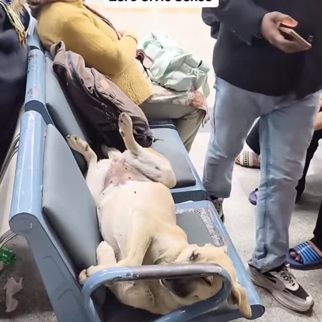  ......estige   'recent posts' 