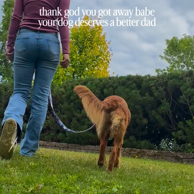  ......atoller   'recent posts' 