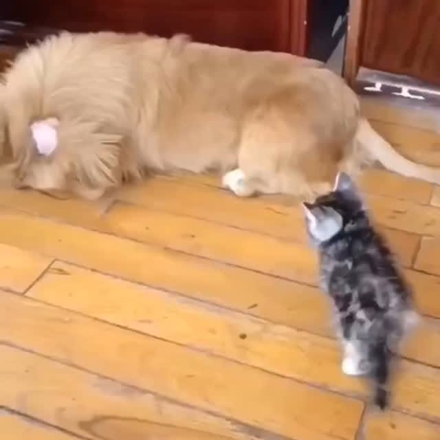  ......ingcat   'recent posts' 