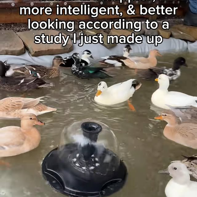  ........ckstatue   'recent posts' 