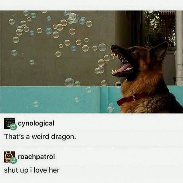  ......orable   'recent posts' 