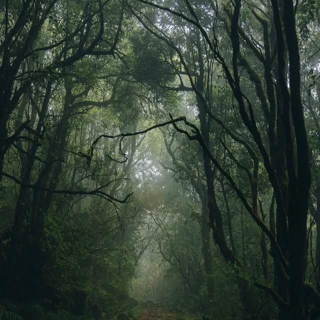  .......dbyfolk   'recent posts' 