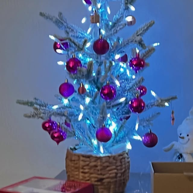  ......bridget   'recent posts' 