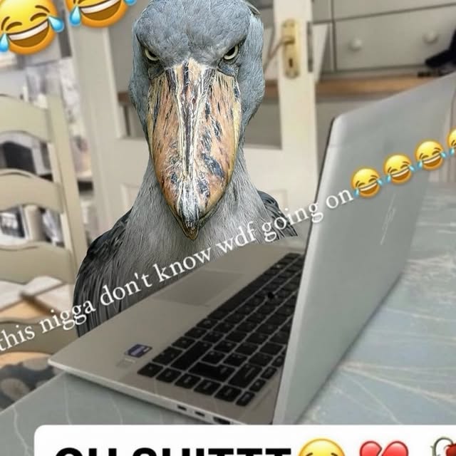  ..........rdoftheday   'recent posts' 