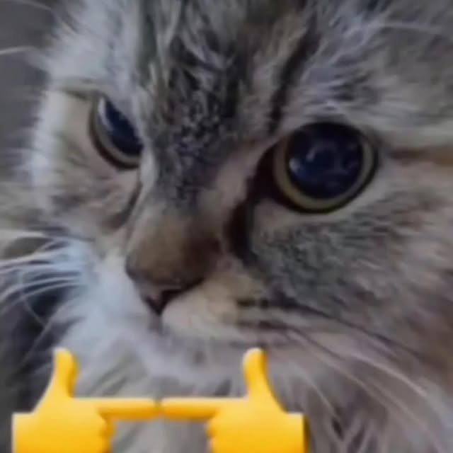  .......sinhome   'recent posts' 