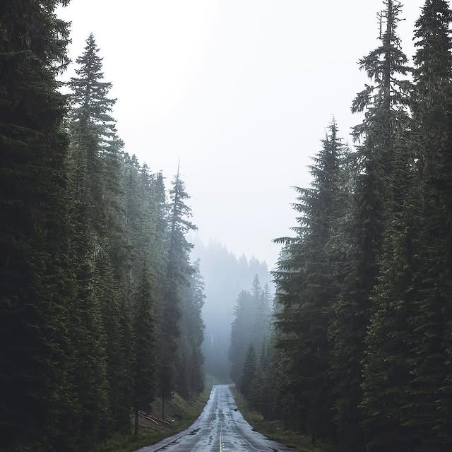  .........dventures   'recent posts' 