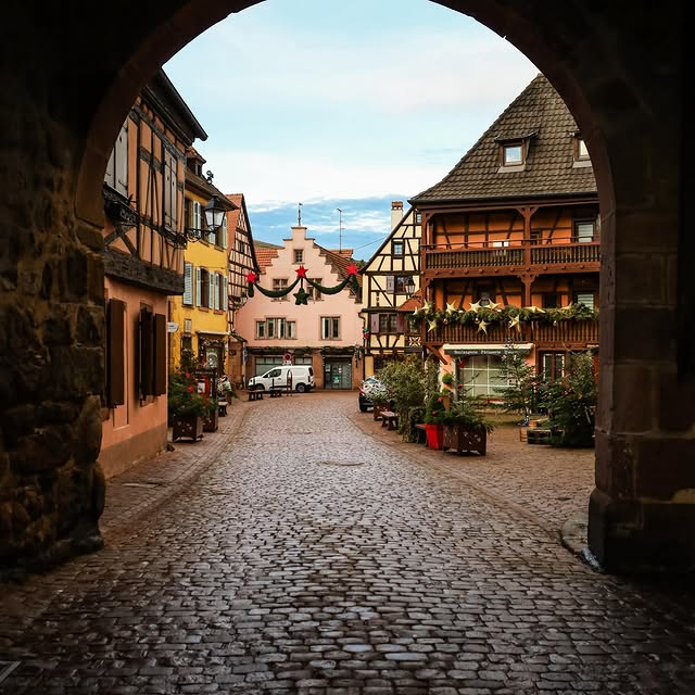  ......_babini   'recent posts' 