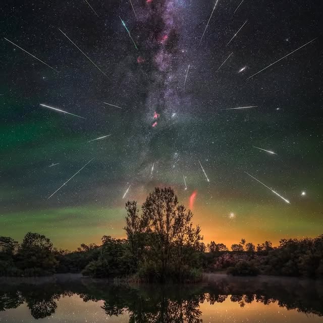  .......urney_d   'recent posts' 