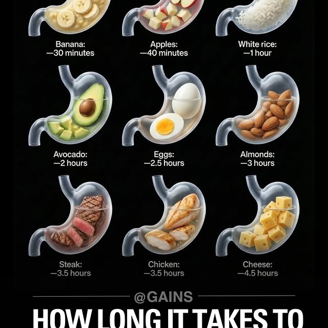  .......dpost.s   'recent posts' 