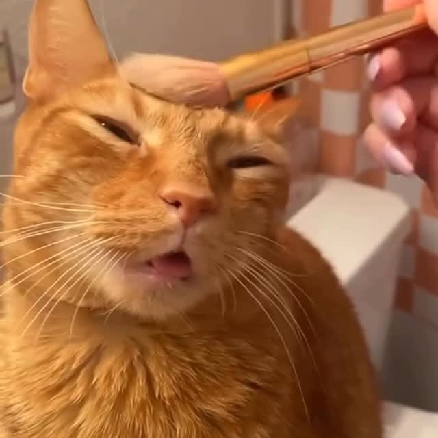  ...........irtonguesout   'recent posts' 