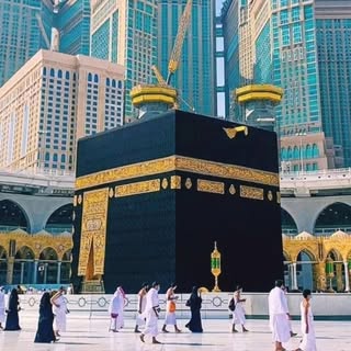 Hire .....sh.are influencer with 169.3k