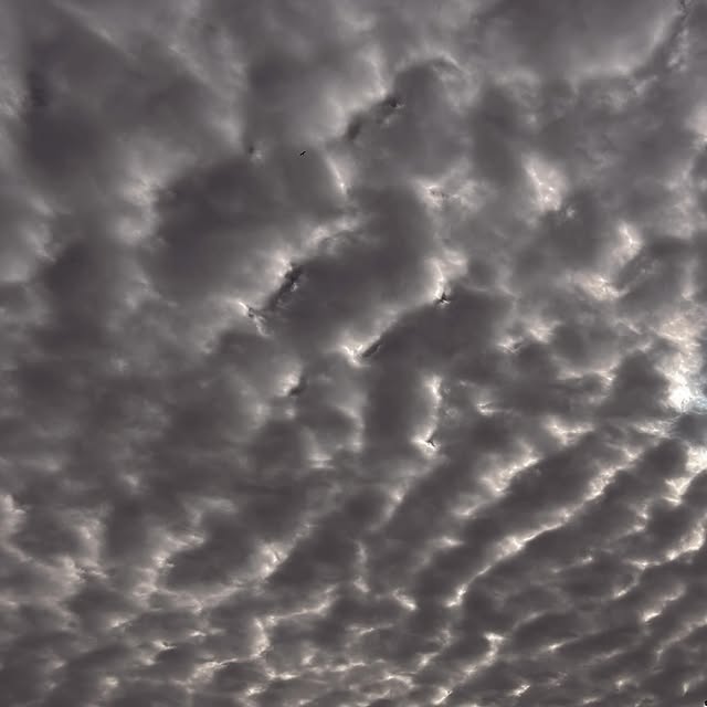  ......labarca   'recent posts' 