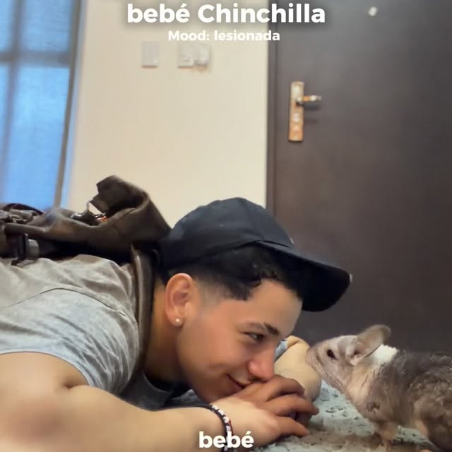  ........del_exito   'recent posts' 