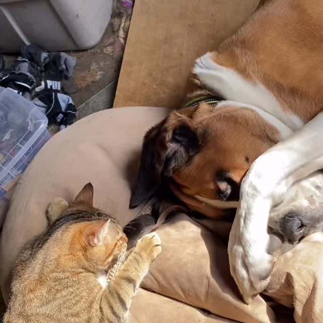  .........intbernard   'recent posts' 