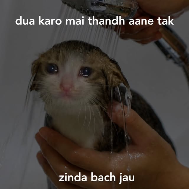  .......dstories   'recent posts' 