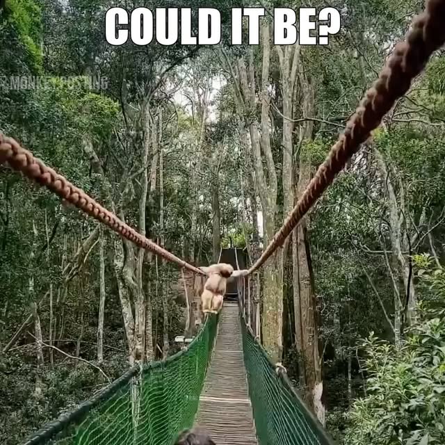  .......posting   'recent posts' 