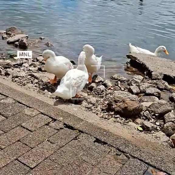  ........ckstatue   'recent posts' 