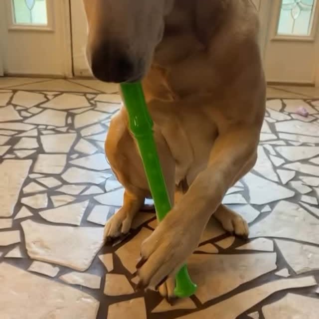  .......malshow   'recent posts' 