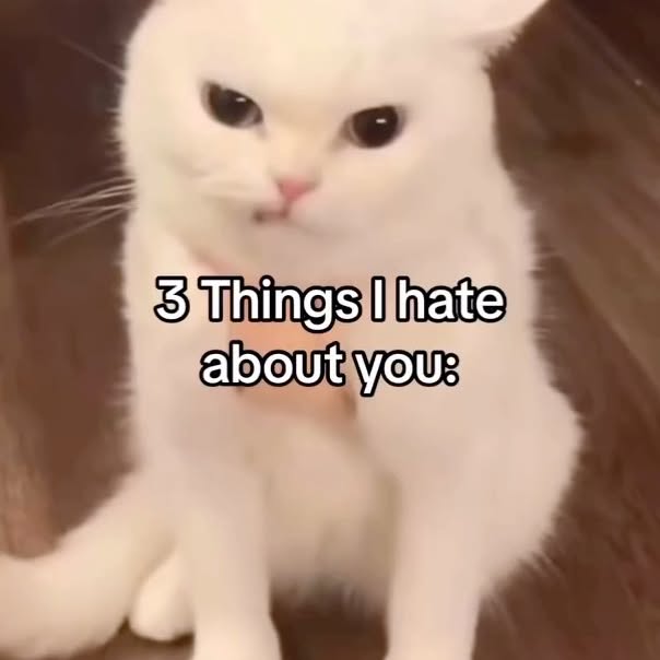  ......atclub   'recent posts' 