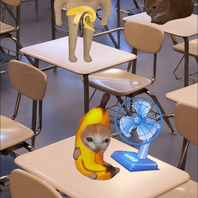  ......anacat   'recent posts' 