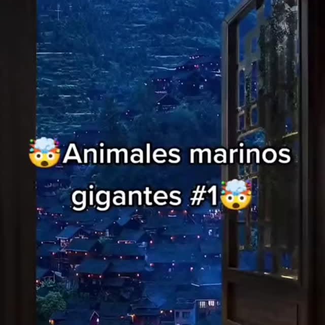  .......terioso   'recent posts' 