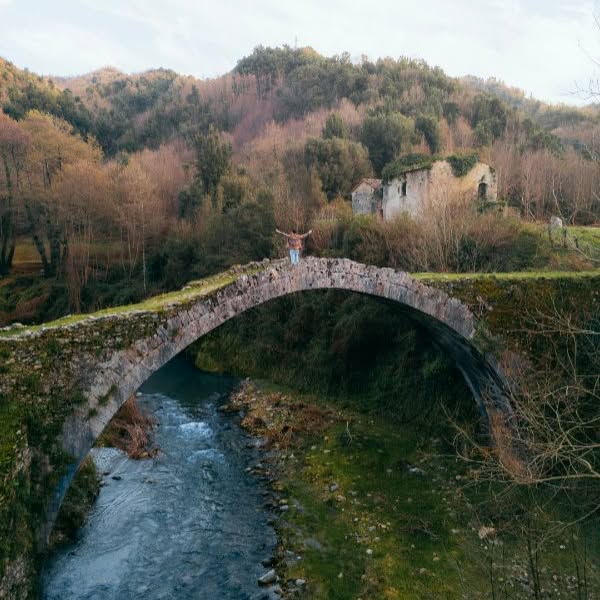  ....ylux   'recent posts' 