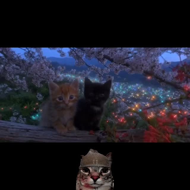  ....eowsy   'recent posts' 