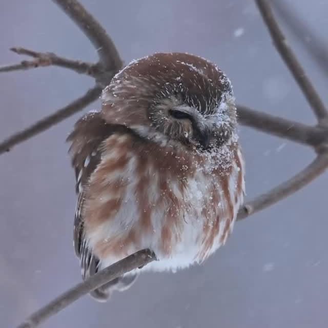  ......fehood   'recent posts' 