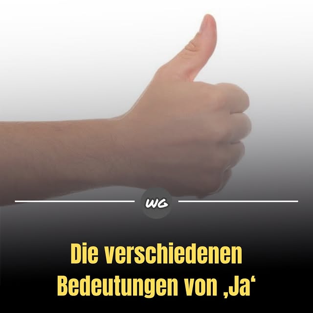  ......alerie   'recent posts' 