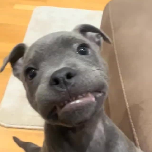  ........ykingdom   'recent posts' 