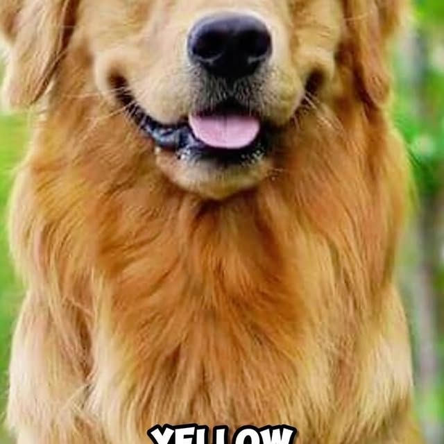  ........ykingdom   'recent posts' 