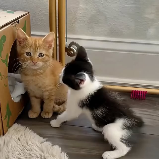  ...urre   'recent posts' 