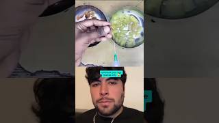  ......ricals  'recent videos' 