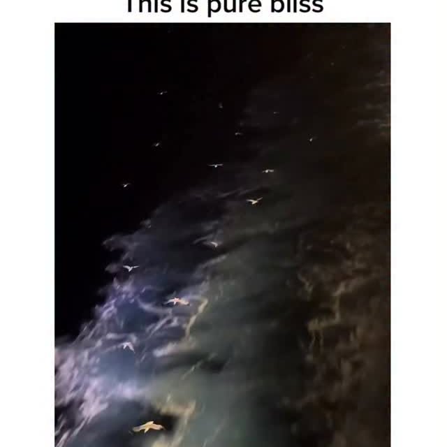  ..obe   'recent posts' 